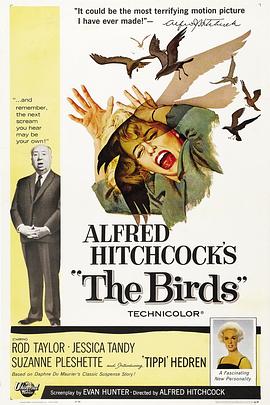 群鸟The Birds
