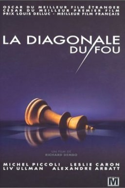 危险行动/La Diagonale du fou