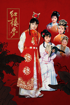 红楼梦/A Dream in Red Mansions