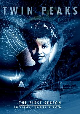 双峰 第一季Twin Peaks Season 1
