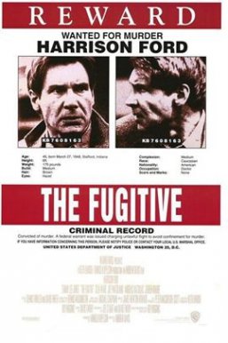 亡命天涯/The Fugitive
