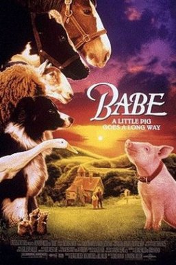 小猪宝贝/Babe