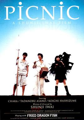 梦旅人PicNic