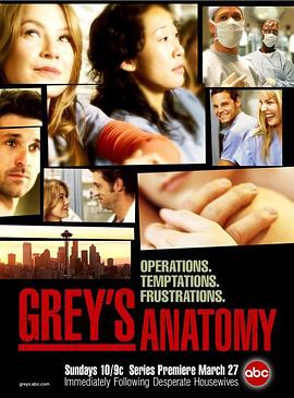 实习医生格蕾 第一季/Grey's Anatomy Season 1