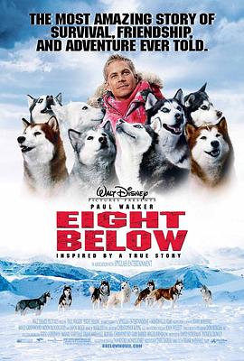 南极大冒险Eight Below