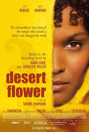 沙漠之花Desert Flower