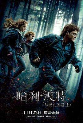 哈利·波特与死亡圣器(上/Harry Potter and the Deathly Hallows: Part 1