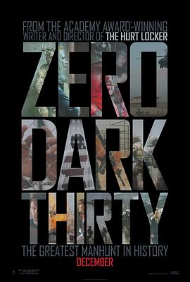 猎杀本拉登/Zero Dark Thirty