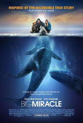 鲸奇Big Miracle