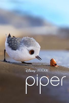 鹬Piper