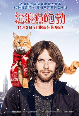 流浪猫鲍勃A Street Cat Named Bob