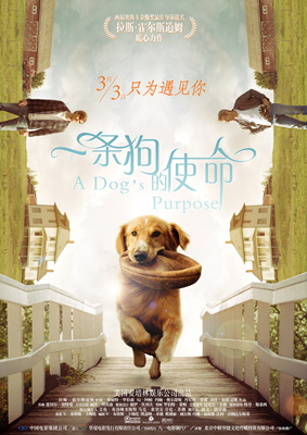 一条狗的使命A Dog's Purpose