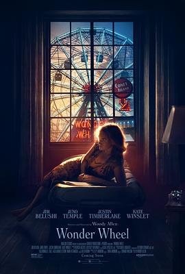 摩天轮Wonder Wheel