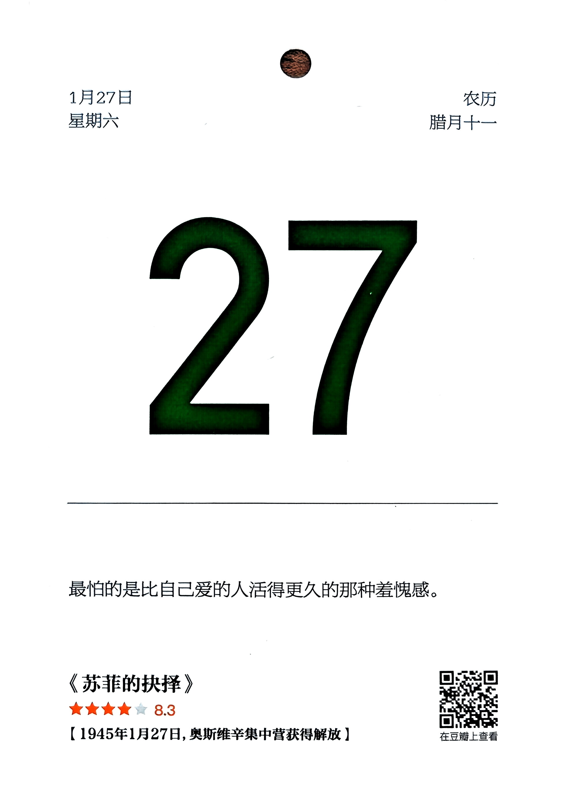 苏菲的抉择