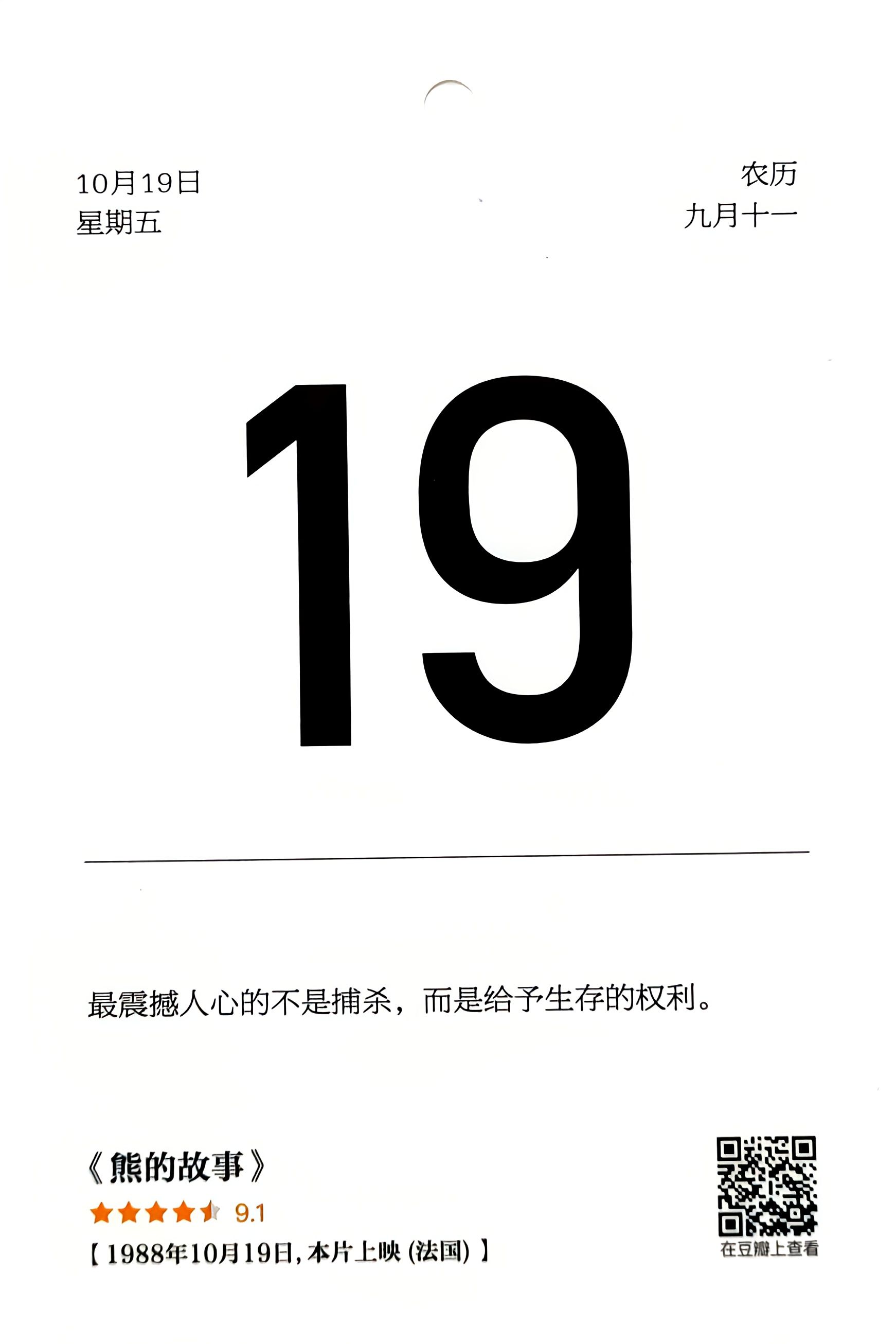 熊的故事