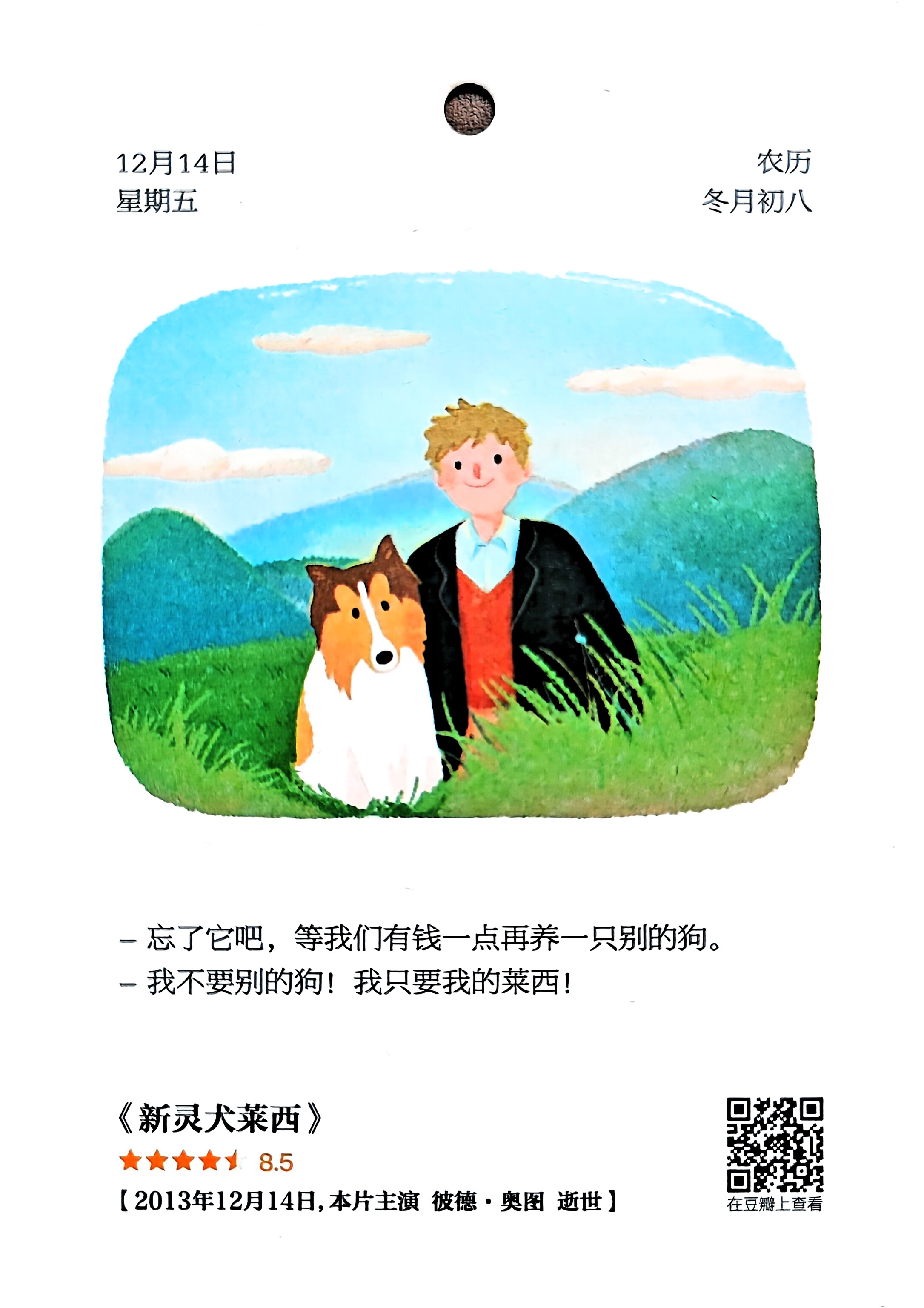 新灵犬莱西