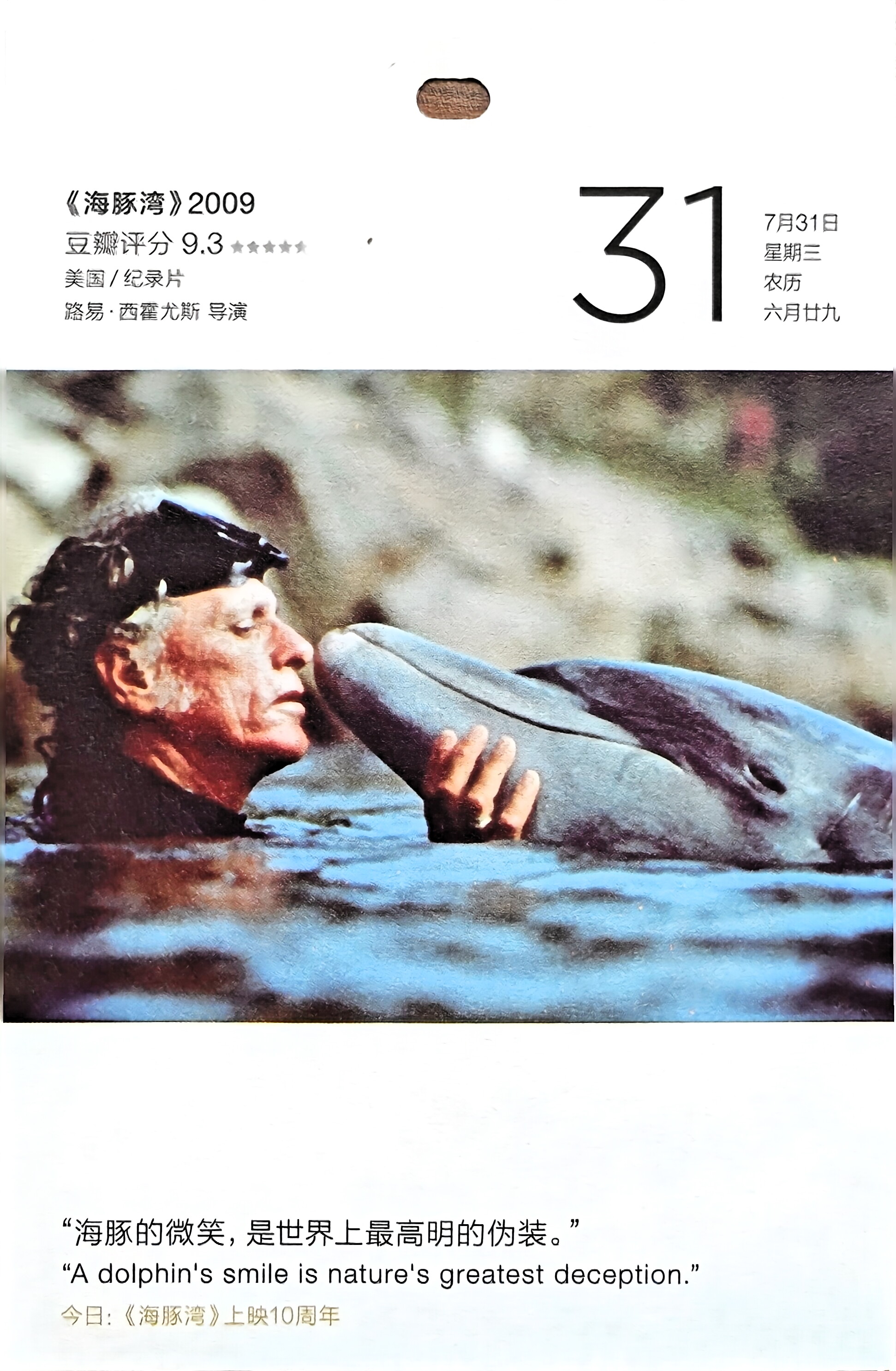 海豚湾