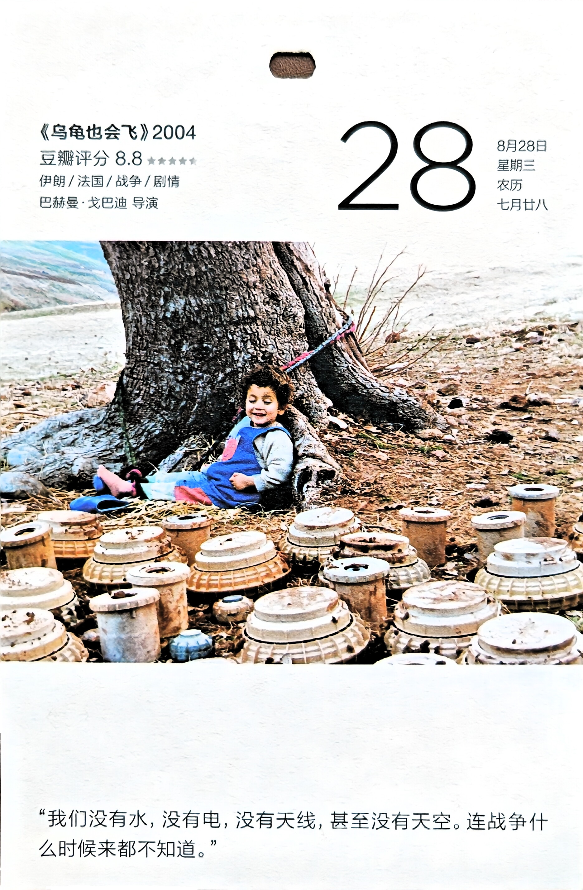 乌龟也会飞