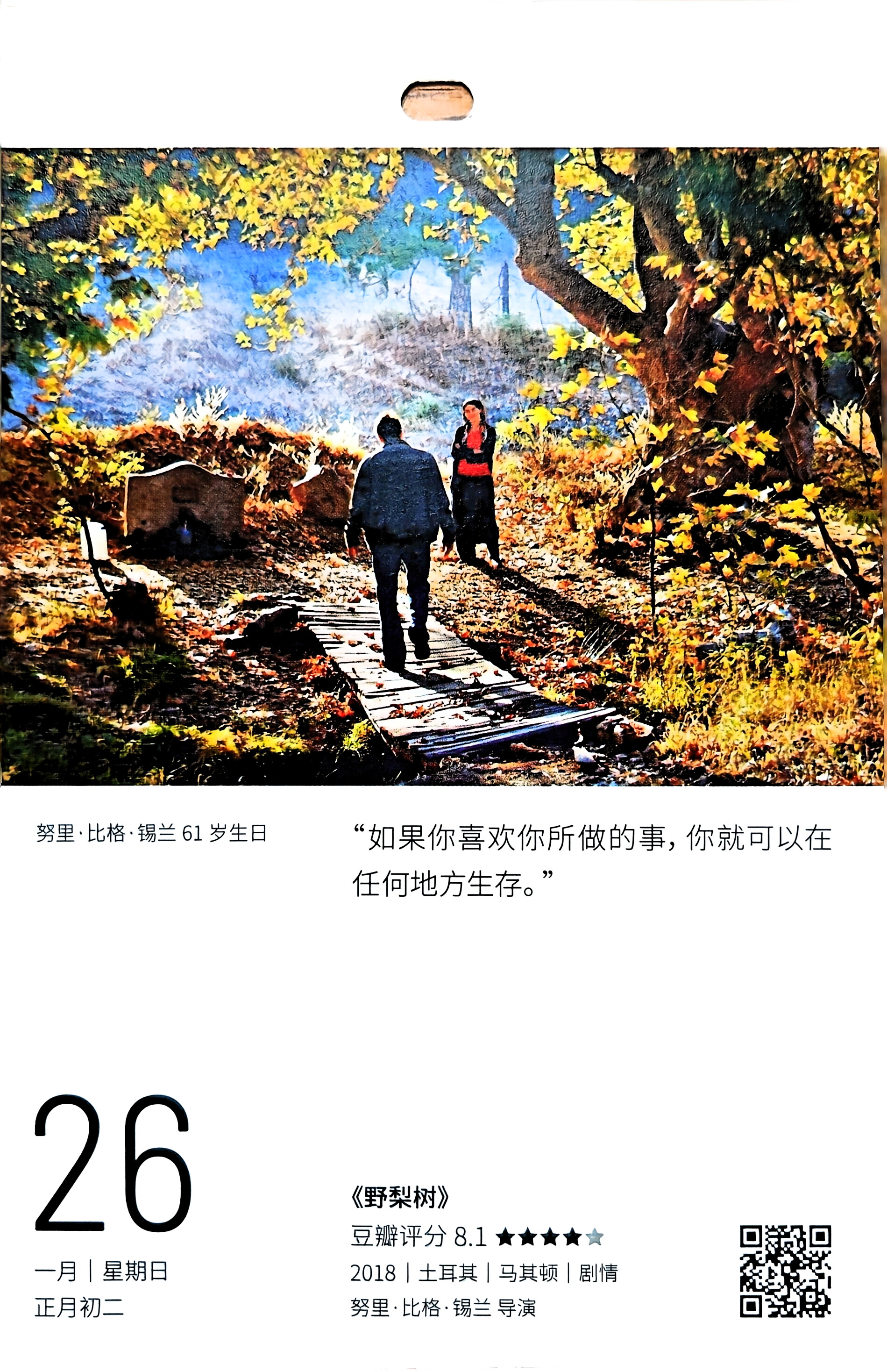 野梨树