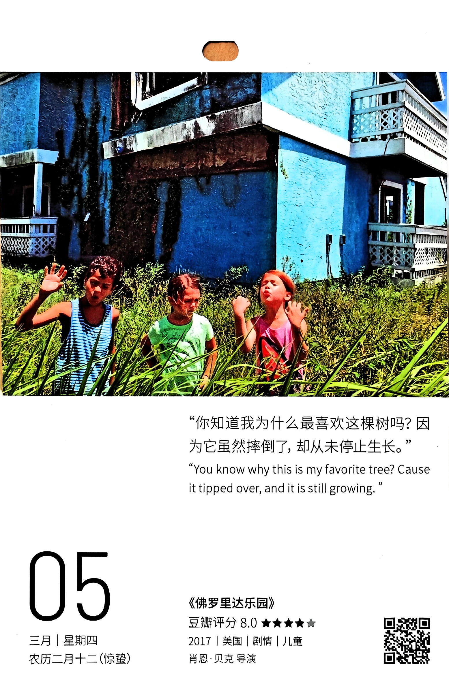 佛罗里达乐园