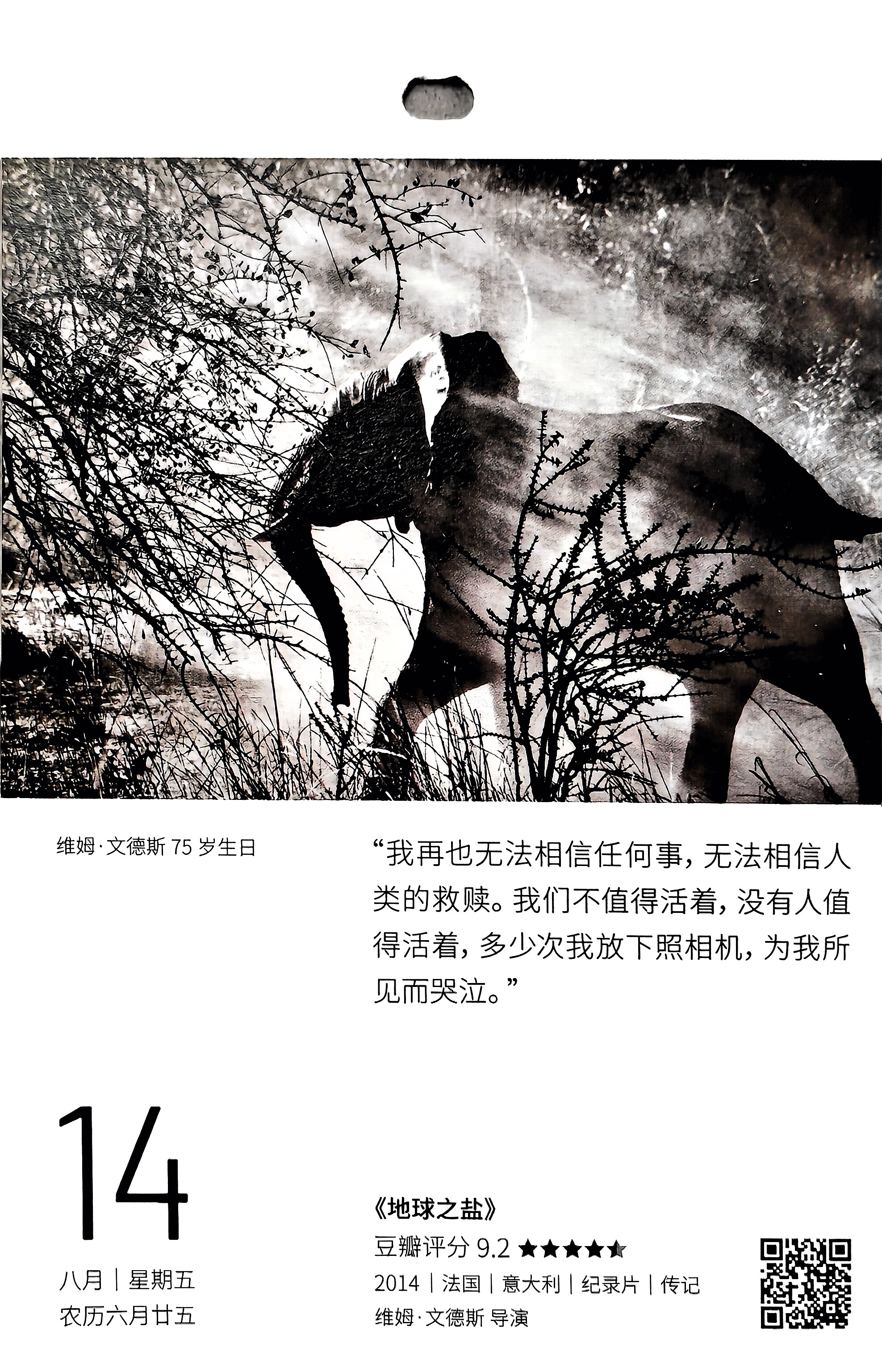地球之盐