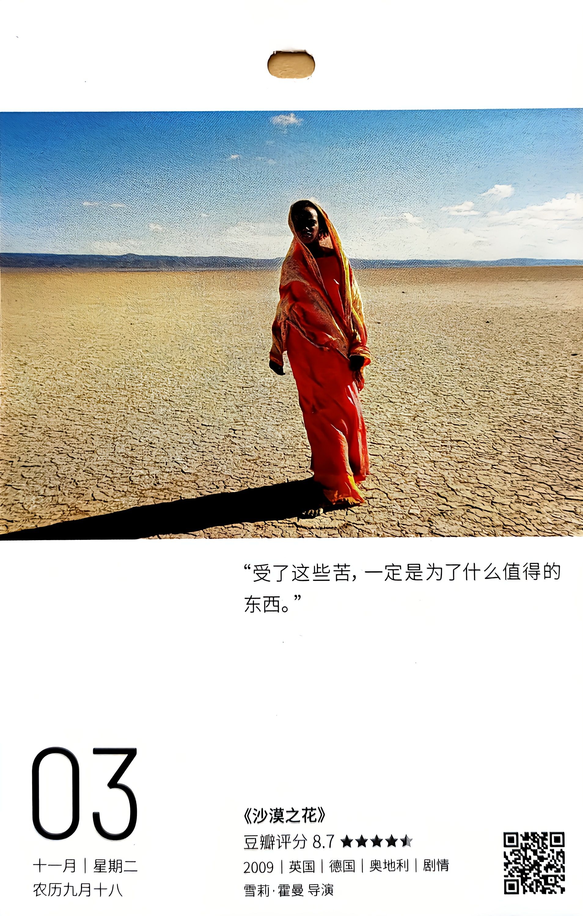沙漠之花