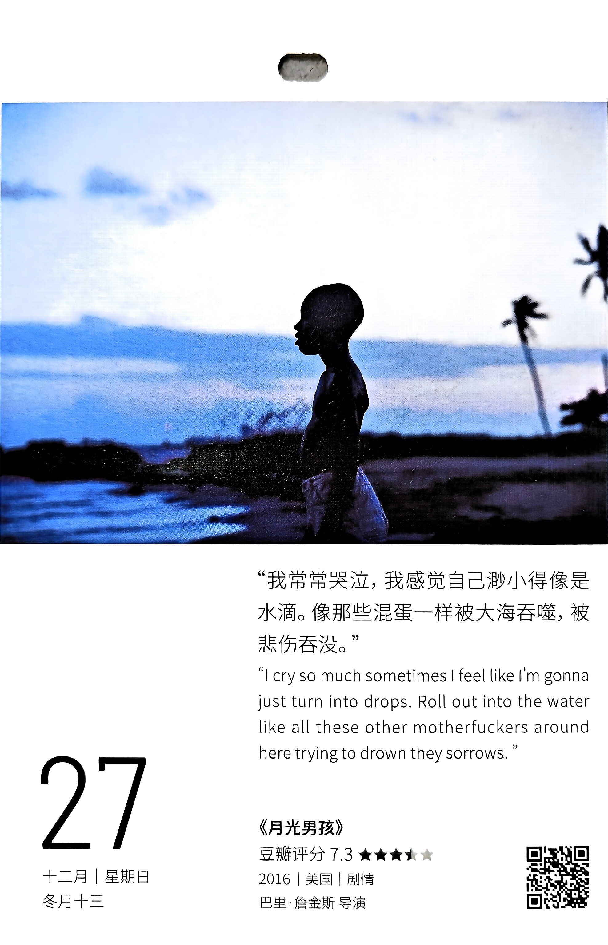 月光男孩
