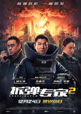 拆弹专家2/Shock Wave 2