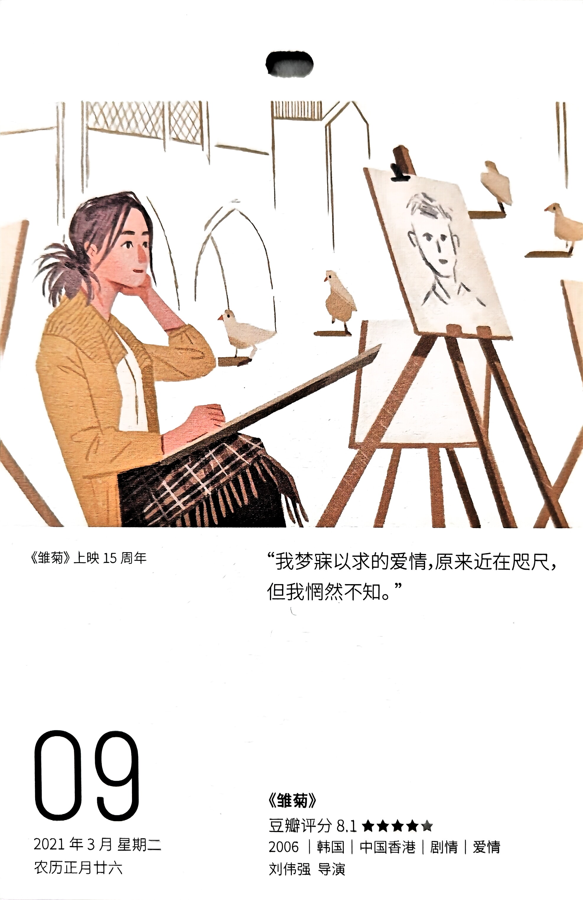 雏菊