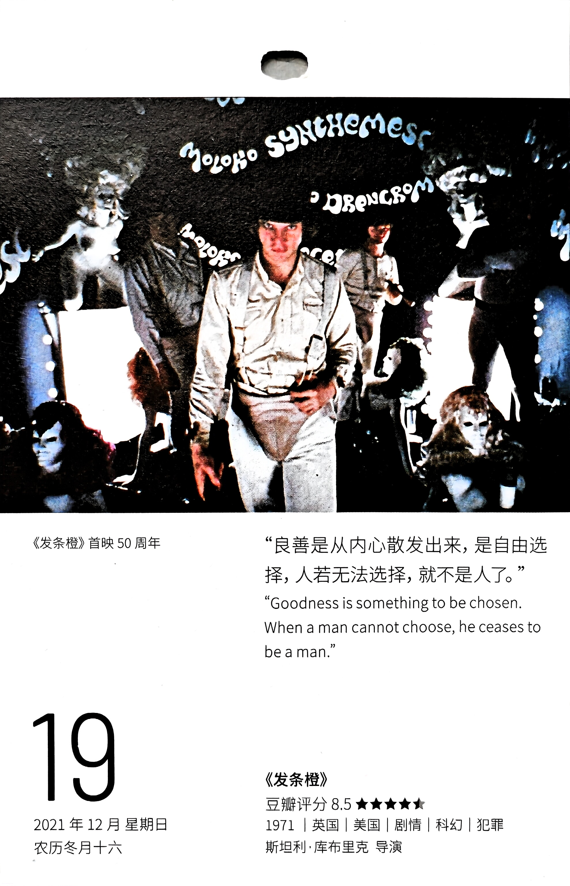 发条橙