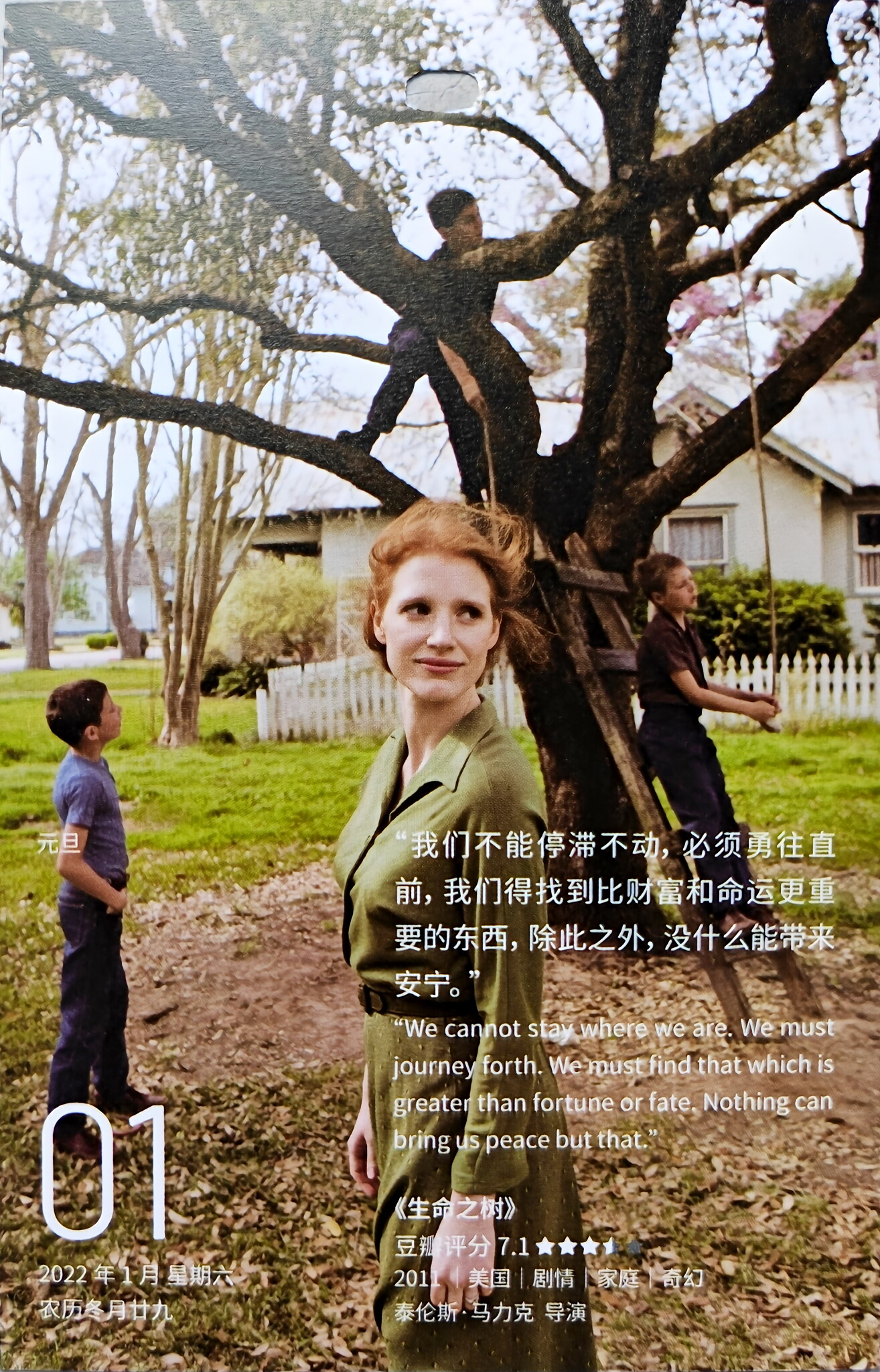 生命之树