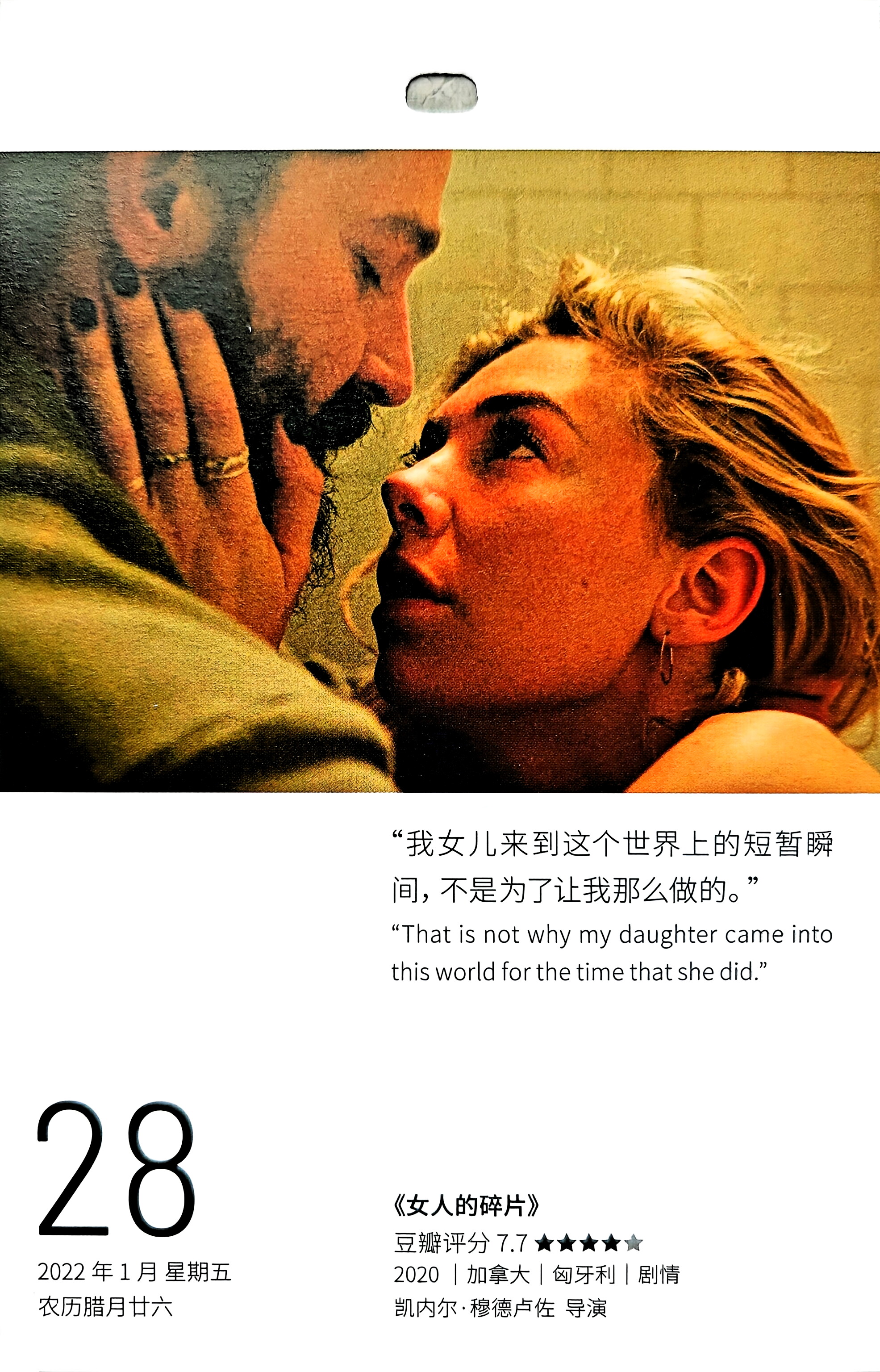 女人的碎片