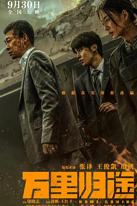 万里归途翻译官