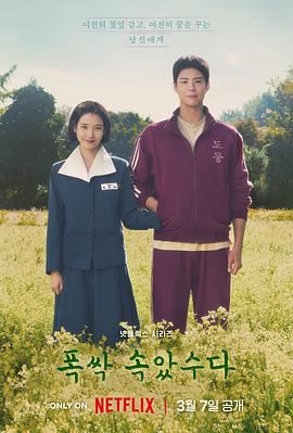 苦尽柑来遇见你/폭싹 속았수다